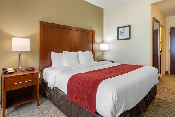  - Comfort Inn & Suites St Petersburg