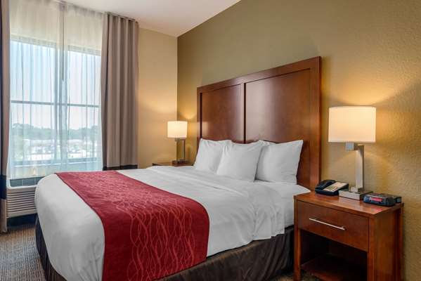  - Comfort Inn & Suites St Petersburg