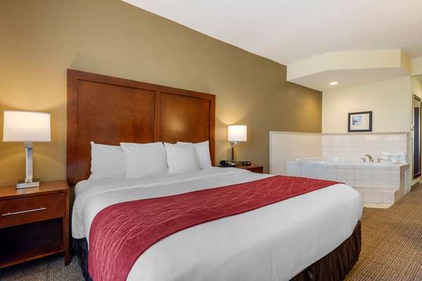  - Comfort Inn & Suites St Petersburg
