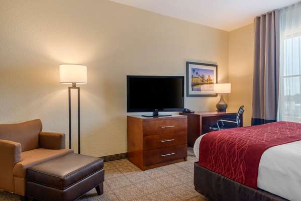  - Comfort Inn & Suites St Petersburg
