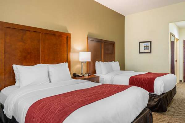 - Comfort Inn & Suites St Petersburg