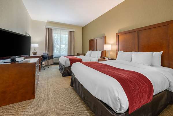 - Comfort Inn & Suites St Petersburg