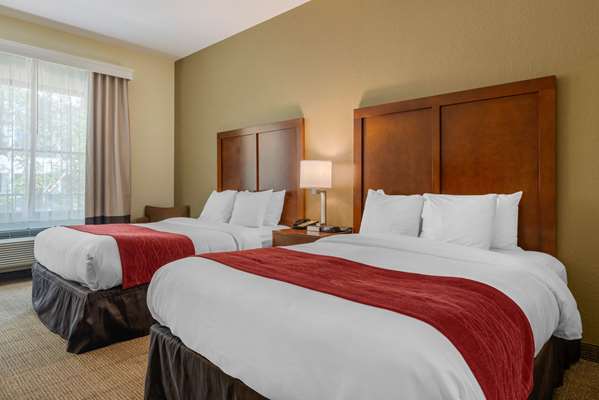  - Comfort Inn & Suites St Petersburg