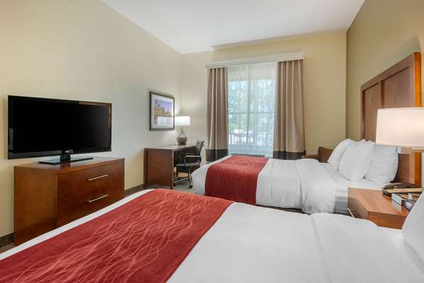  - Comfort Inn & Suites St Petersburg