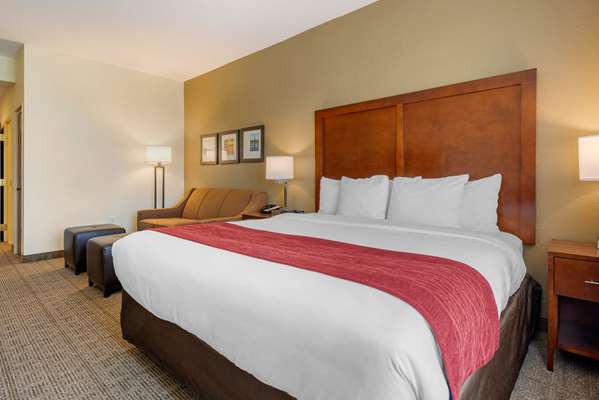 Suite - Comfort Inn & Suites St Petersburg