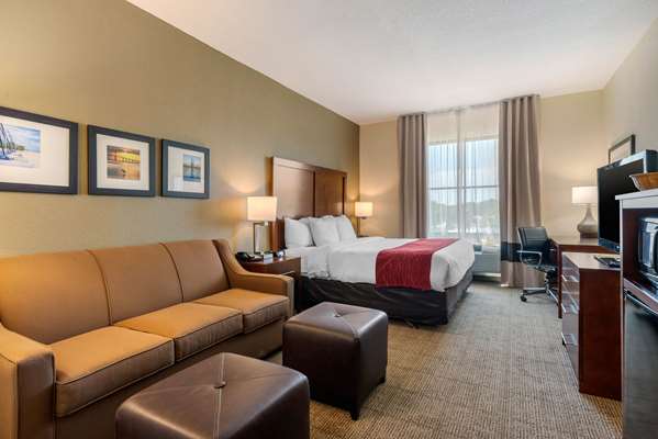 Suite - Comfort Inn & Suites St Petersburg
