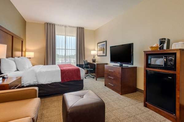 Suite - Comfort Inn & Suites St Petersburg