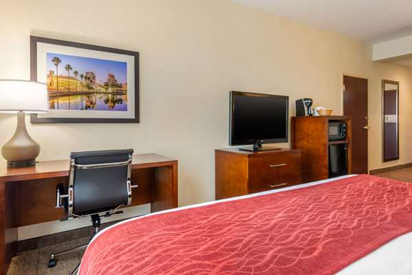 Suite - Comfort Inn & Suites St Petersburg