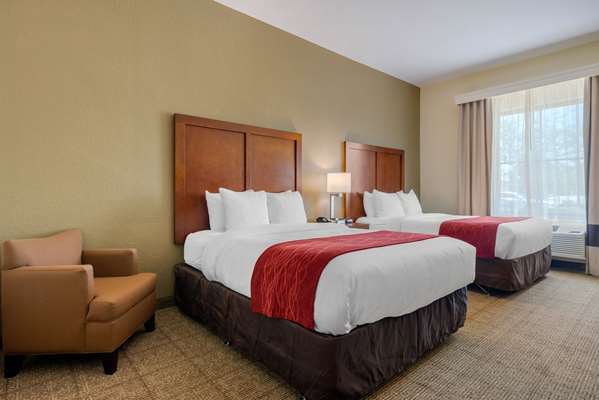  - Comfort Inn & Suites St Petersburg