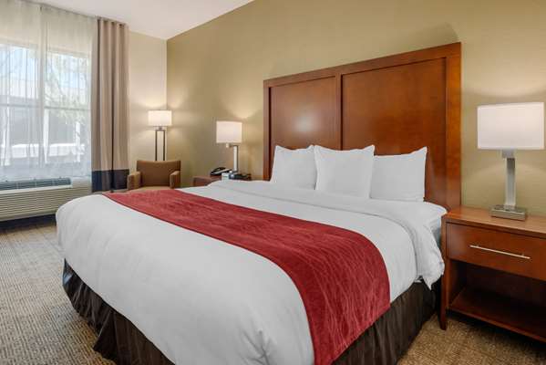  - Comfort Inn & Suites St Petersburg