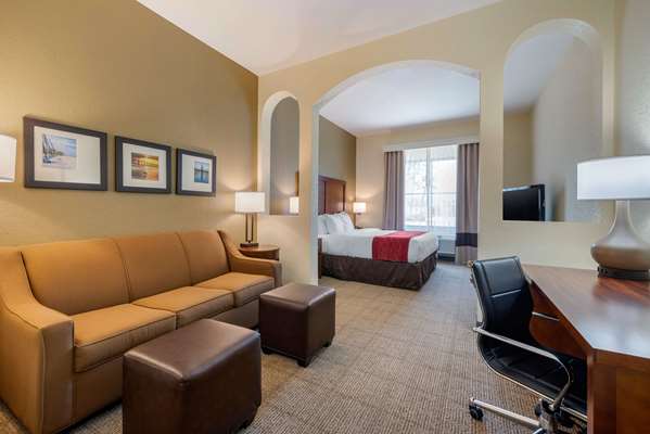 Suite - Comfort Inn & Suites St Petersburg