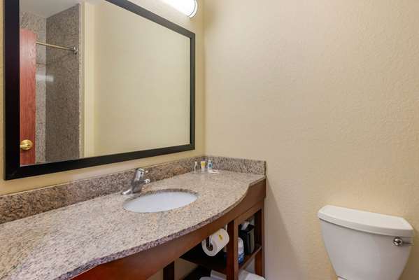 Suite - Comfort Inn & Suites St Petersburg