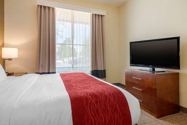 Suite - Comfort Inn & Suites St Petersburg
