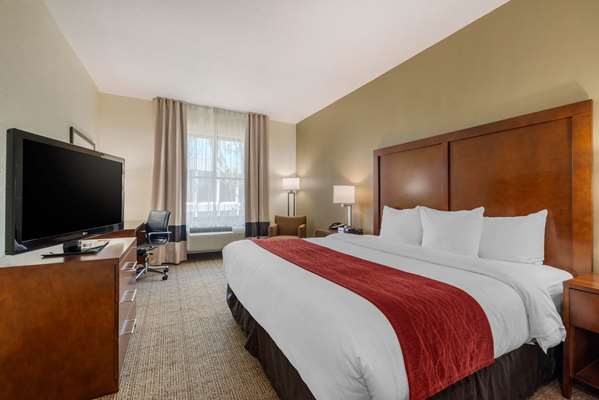  - Comfort Inn & Suites St Petersburg