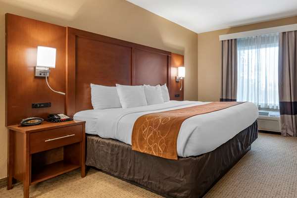 Suite - Comfort Suites Airport Orlando