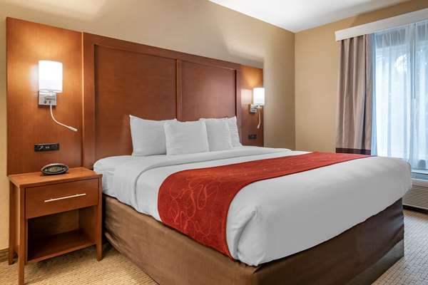 Suite - Comfort Suites Airport Orlando