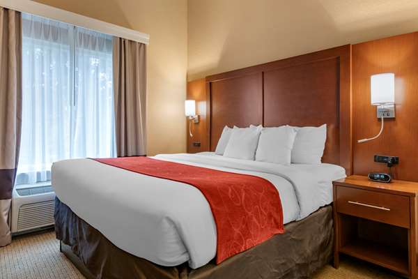 Suite - Comfort Suites Airport Orlando