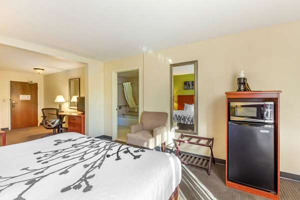 Suite - Sleep Inn & Suites Jacksonville - I-10, Exit 357