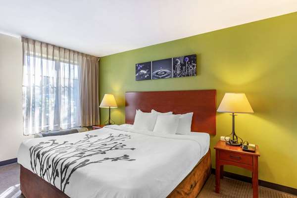 Suite - Sleep Inn & Suites Jacksonville - I-10, Exit 357