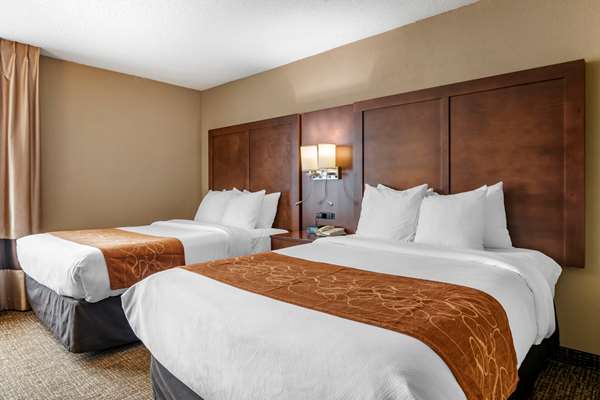 Suite - Comfort Suites Jacksonville - I-95, Exit 341