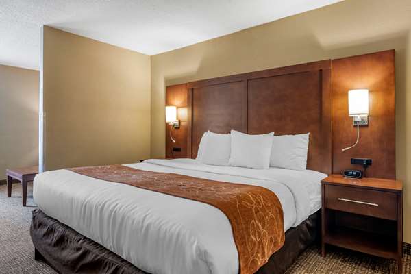 Suite - Comfort Suites Jacksonville - I-95, Exit 341