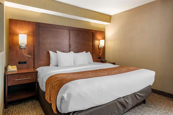 Suite - Comfort Suites Jacksonville - I-95, Exit 341
