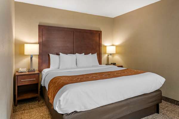 Suite - Comfort Suites Jacksonville - I-95, Exit 341