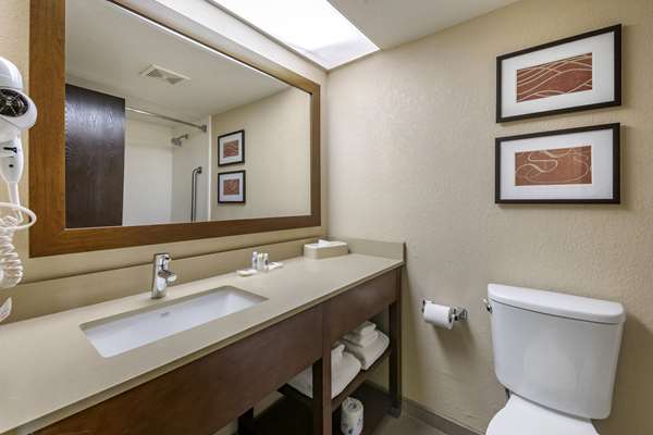 Suite - Comfort Suites Jacksonville - I-95, Exit 341