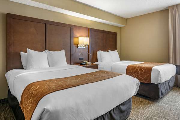 Suite - Comfort Suites Jacksonville - I-95, Exit 341