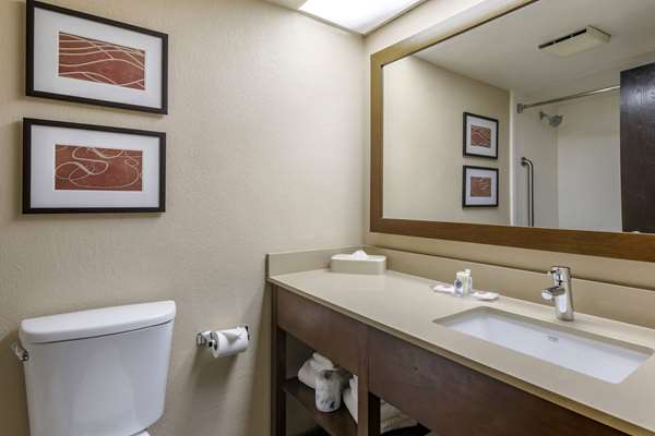 Suite - Comfort Suites Jacksonville - I-95, Exit 341