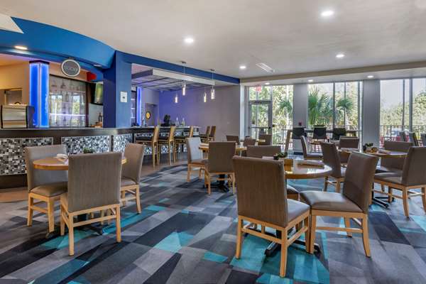 Restaurant - Cambria Hotel Dania Beach - I-95, Exit 22