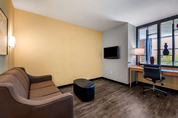 Suite - Cambria Hotel Dania Beach - I-95, Exit 22