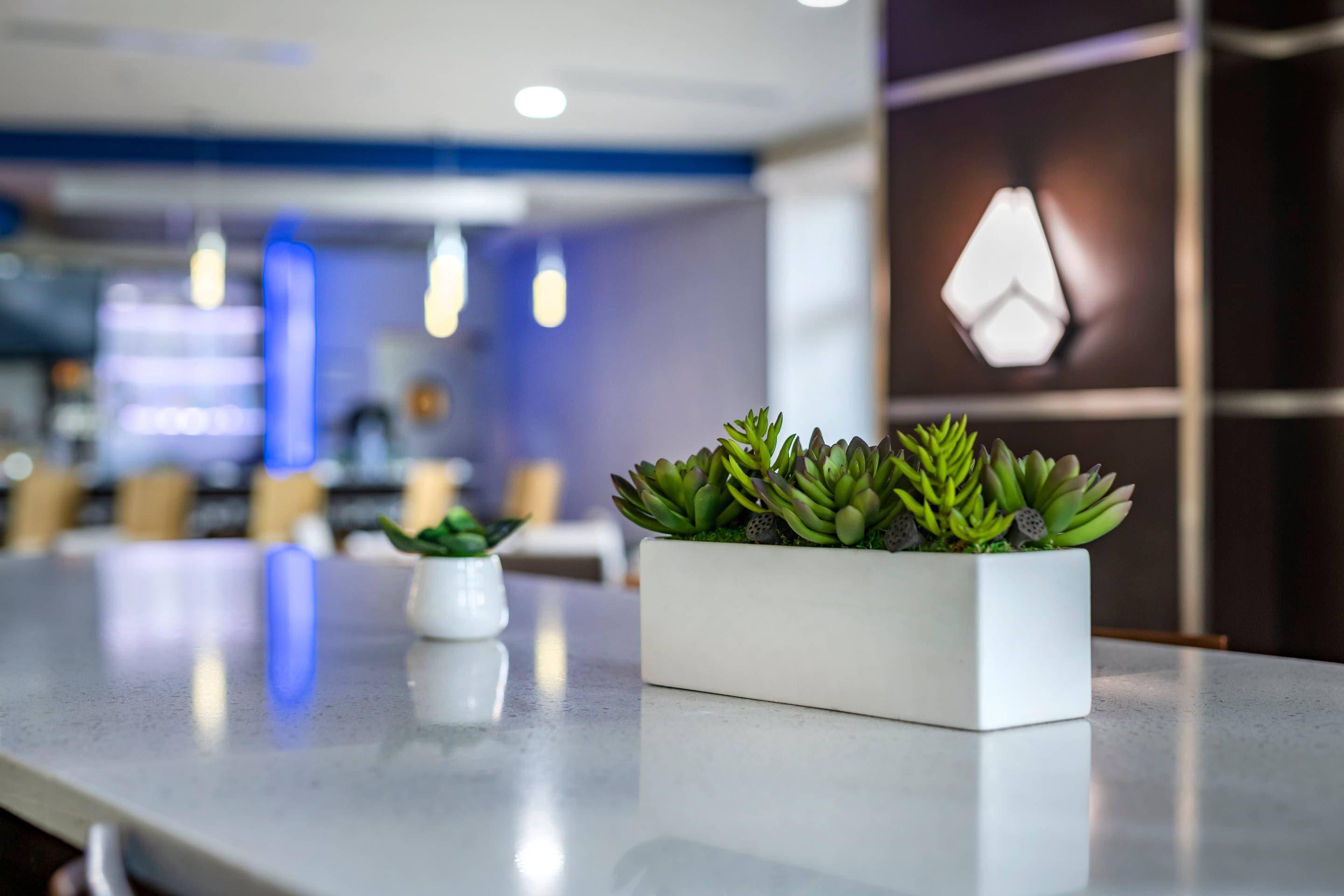 Clean and net areas | Cambria Hotel Ft Lauderdale, Airport South & Cruise Port