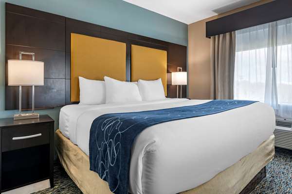 Suite - Comfort Suites Dania Beach - I-95, Exit 22