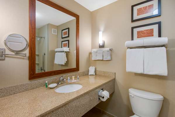 Suite - Comfort Suites Sarasota - I-75, Exit 205