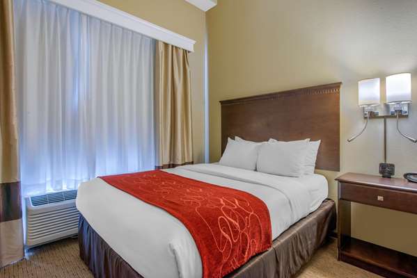 Suite - Comfort Suites Sarasota - I-75, Exit 205