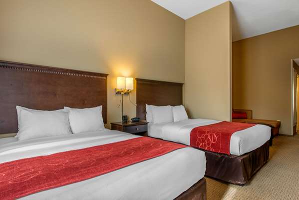 Suite - Comfort Suites Sarasota - I-75, Exit 205