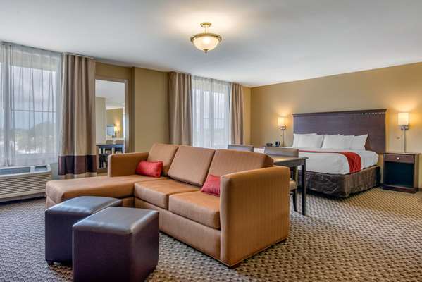 Suite - Comfort Suites Sarasota - I-75, Exit 205