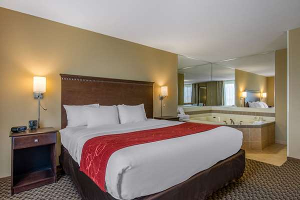 Suite - Comfort Suites Sarasota - I-75, Exit 205