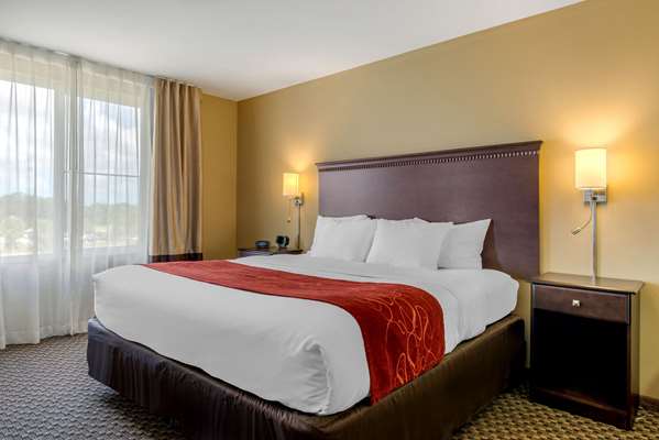 Suite - Comfort Suites Sarasota - I-75, Exit 205