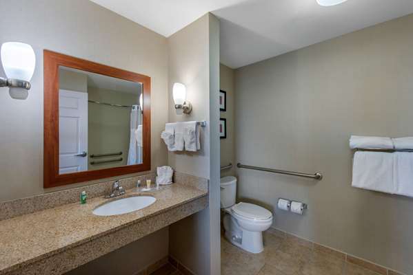 Suite - Comfort Suites Sarasota - I-75, Exit 205