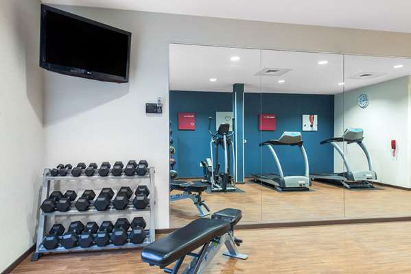 Fitness/ Exercise Room - Comfort Suites Sarasota - I-75, Exit 205