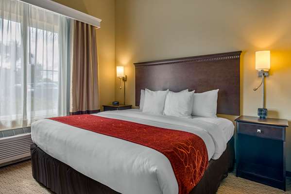Suite - Comfort Suites Sarasota - I-75, Exit 205