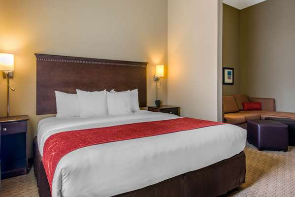 Suite - Comfort Suites Sarasota - I-75, Exit 205