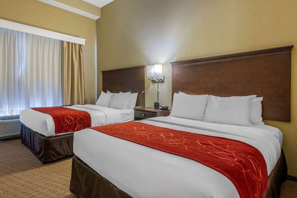 Suite - Comfort Suites Sarasota - I-75, Exit 205