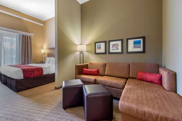 Suite - Comfort Suites Sarasota - I-75, Exit 205