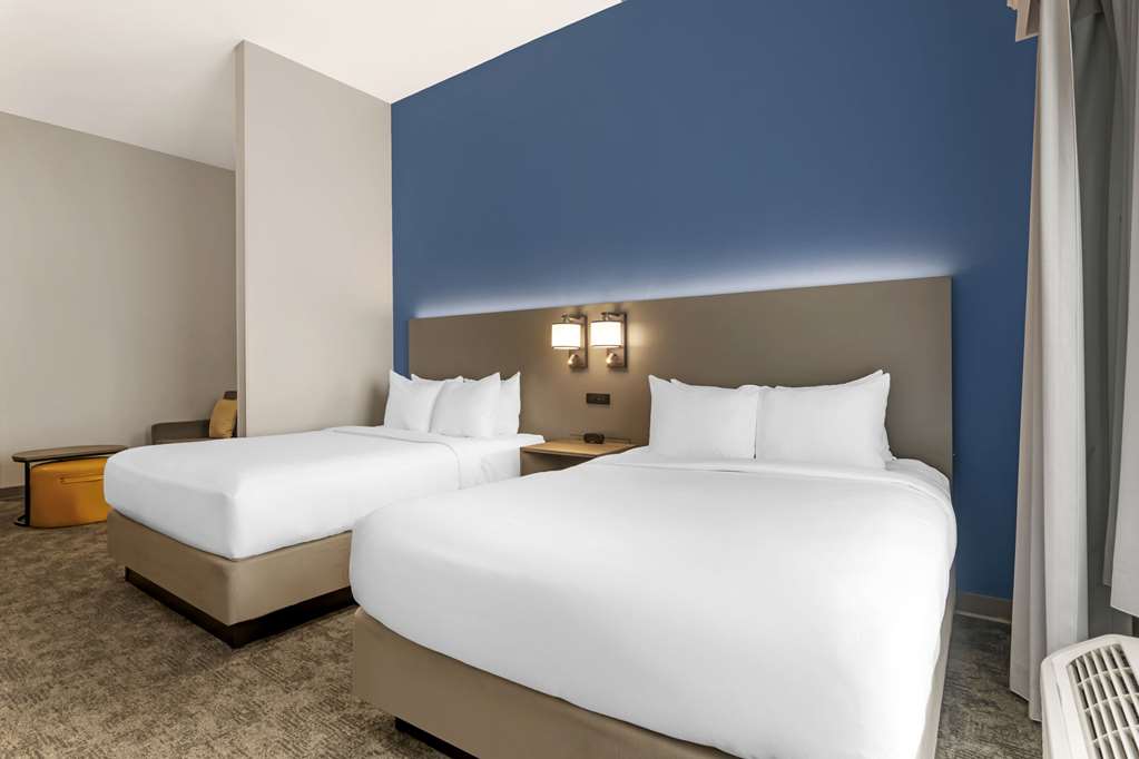 COMFORT SUITES SARASOTA-SIESTA KEY-guestroom-Guest Room,On-Site.jpg