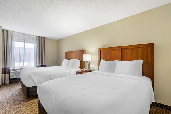 Suite - Comfort Inn & Suites Clearwater Airport