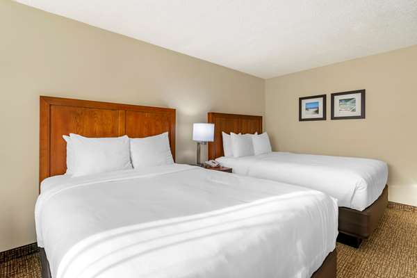 Suite - Comfort Inn & Suites Clearwater Airport