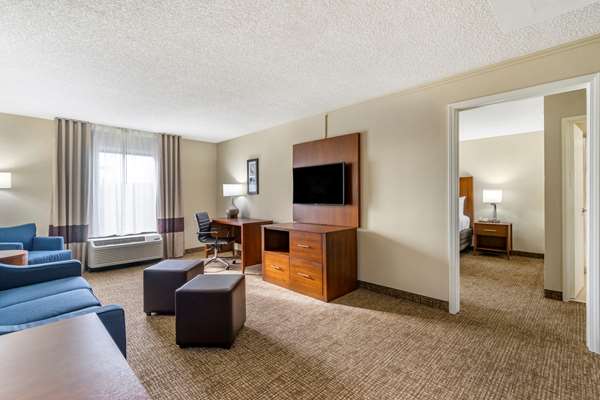 Suite - Comfort Inn & Suites Clearwater Airport